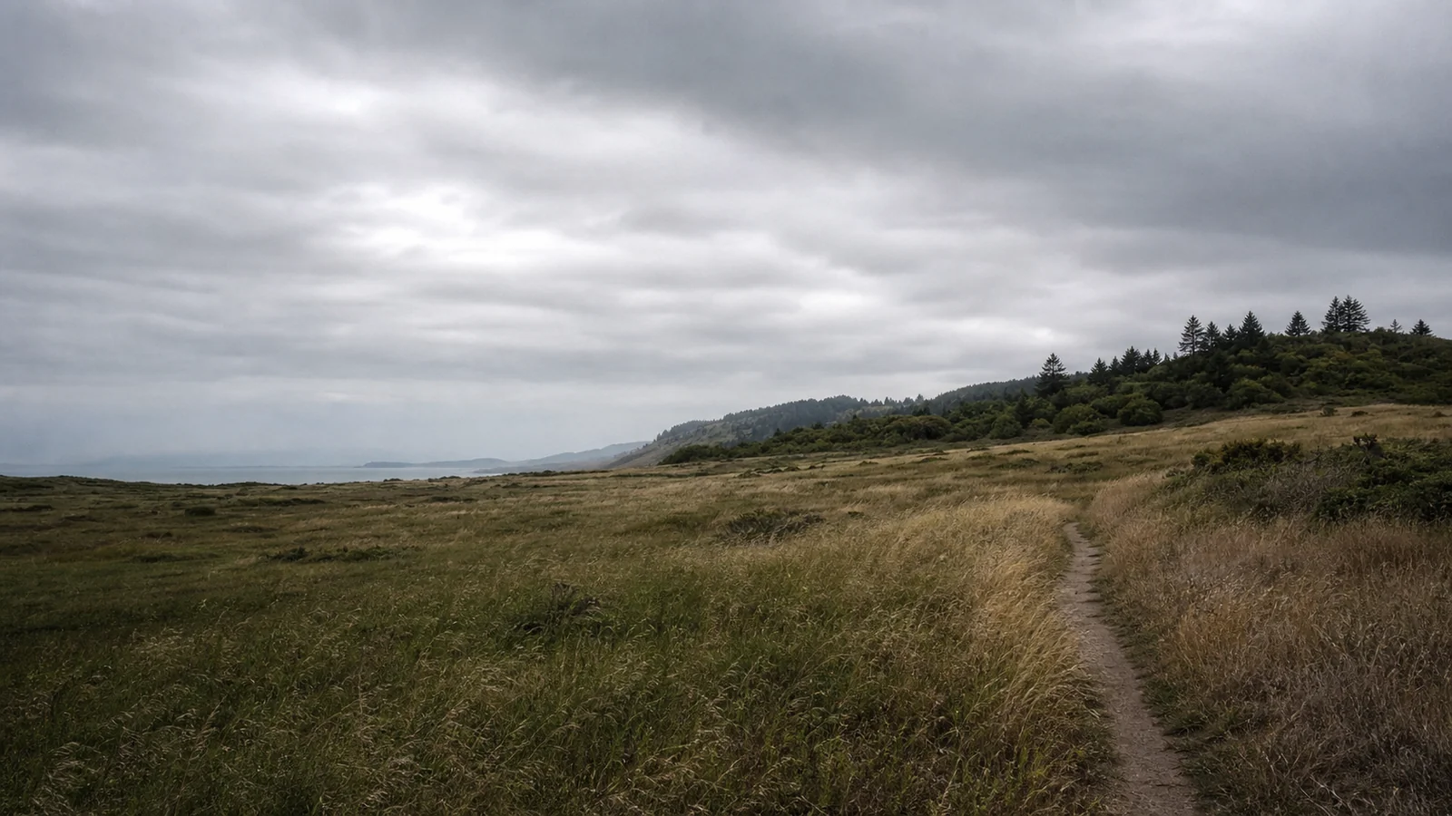 Wide natural landscape with open sky and room for editorial text
